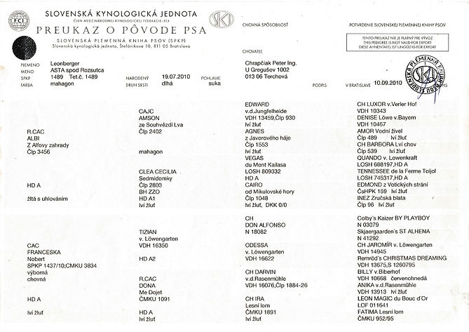 ASTA spod Rozsutca Pedigree.jpg