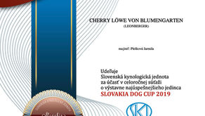 Slovakia Dog Cup 2019 - Leonberger