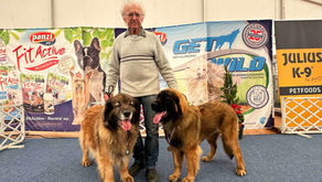 CACIB DOG SHOW Békéscsaba HUNGARY 15 & 16 April 2023