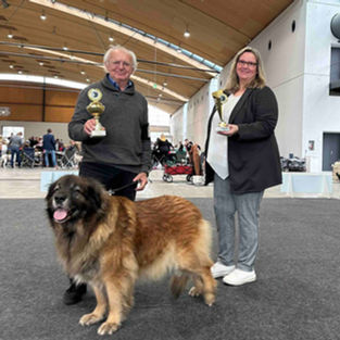 Special German Leonberger Club Show & CACIB Karlsruhe, GERMANY 12-13/11/2022