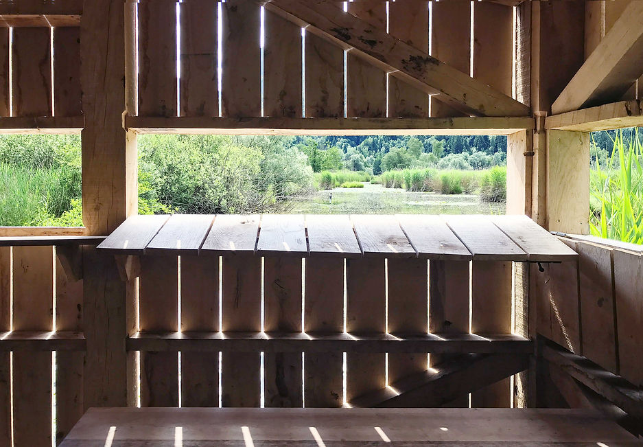 toiture en lauze de bois