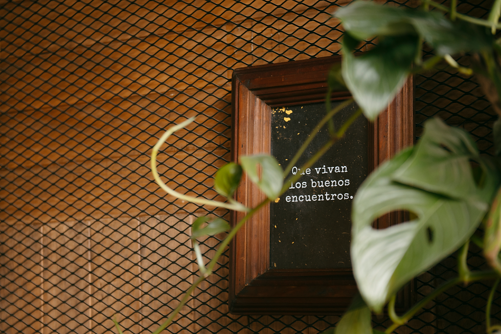 Casa Cultiva, Asadoja, Diseño de espacios interiores, Diseño de gráficos ambientales