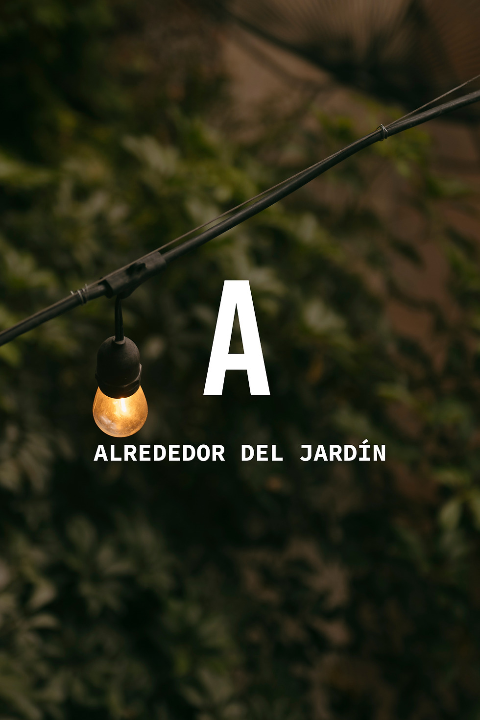 Casa Cultiva, Asadoja, Identidad visual, Creación de dontenido