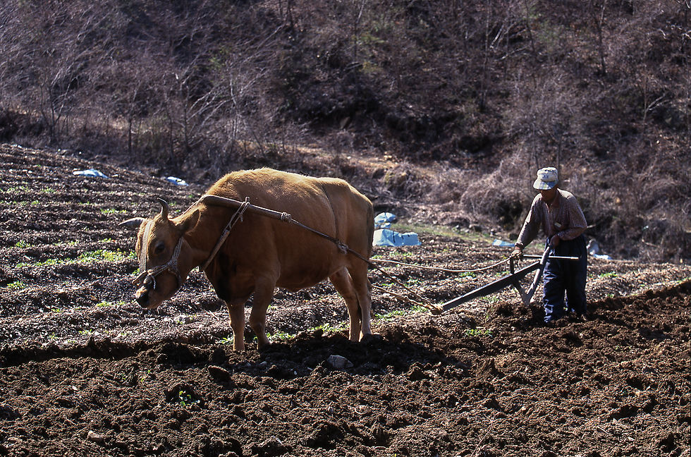 충남 금산2001_img174