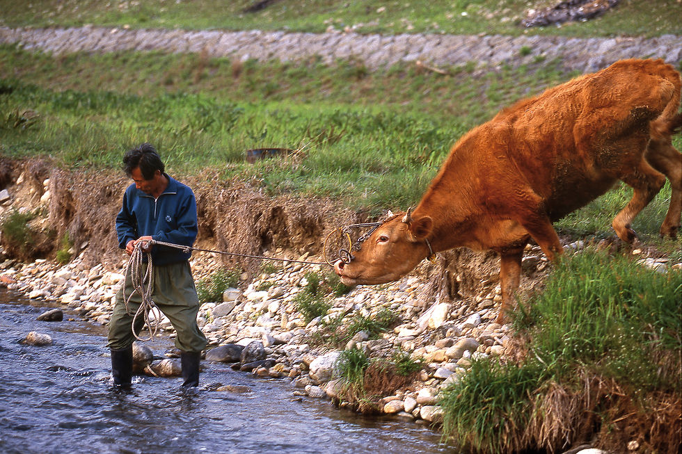 전북 전주1999_img019