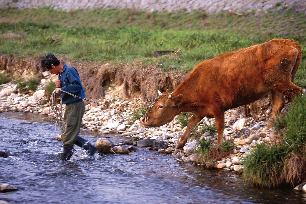 전북 전주1999_img021
