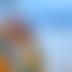 NC Travel Newsletter: Winter 2023