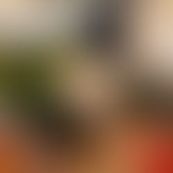 NC Travel Newsletter: July 2025