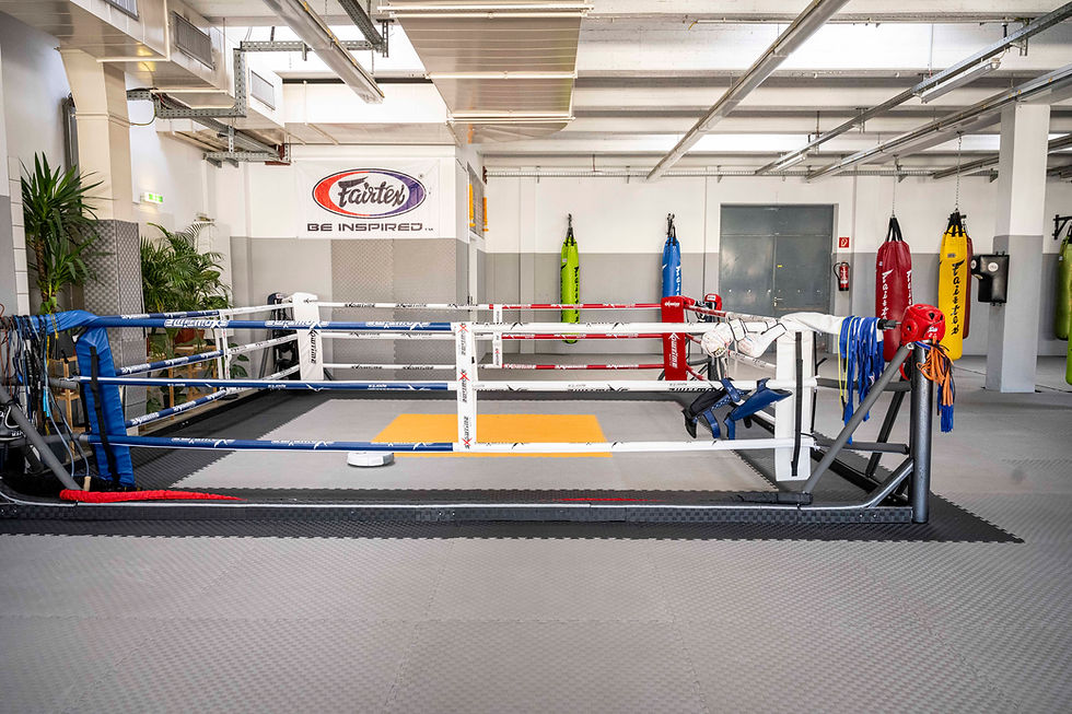 kampfsport_muaythai_kickboxen_kindertraining_krafttraining_kettlebells_hanteln_fitness_box