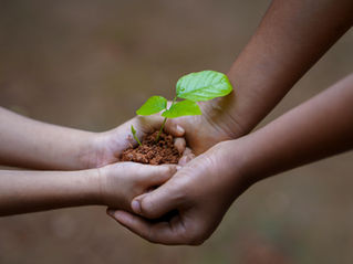 Tension sur les ressources, biodiversité, climat : pourquoi réhabiliter les sols est aujourd’hui incontournable
