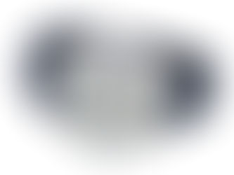 Massena LAB x Vianney Halter