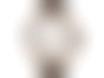 IWC Portofino Automatic Day & Night 34®