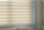 Z lite blinds in beige
