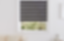 Z lite blinds in black