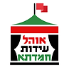 new new ohel logo graphic.png