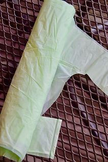 sac biodéchet