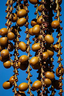 AdobeStock_215874206.jpeg