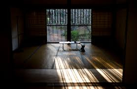 What beauty lurks in shadows.