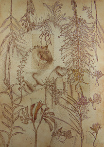 One Cell Theory II, Elmari Steyn Etching 21 x 29cm