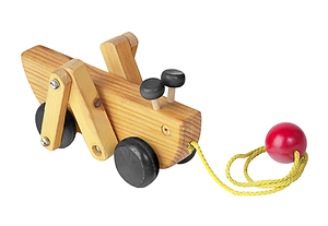 Wooden Bug Toy