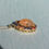 Thumbnail: 18K Gold Fire Opal Pendant: Rainbow Mexican Opal, Blue & Orange Sapphires