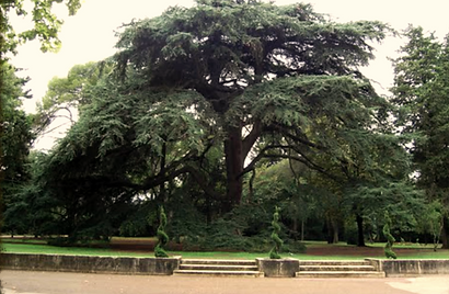 Family Piknik a lieu dans le parc du chateau de Grammont