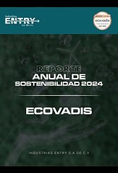 REPORTE ANUAL DE SOSTENIBILIDAD 2024.png
