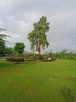 DSC00369.JPG