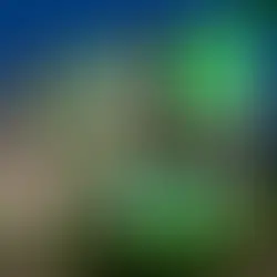 Instituição financeira anuncia expansão no Pará; 19 novas agências