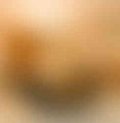 Espaço eventos negócios Belém Do It