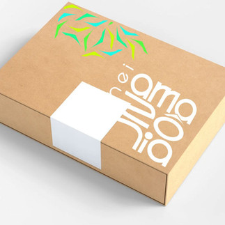 Startup Paraense produtos Amazônia Europa