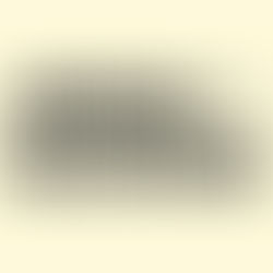 Belém Negócios lança iniciativa focada no desenvolvimento de empresas para a COP-30