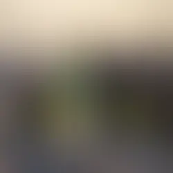 BB e BID anunciam R$1,2 bilhões em investimento para negócios na Amazônia