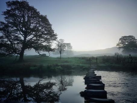 Wellbeing for January