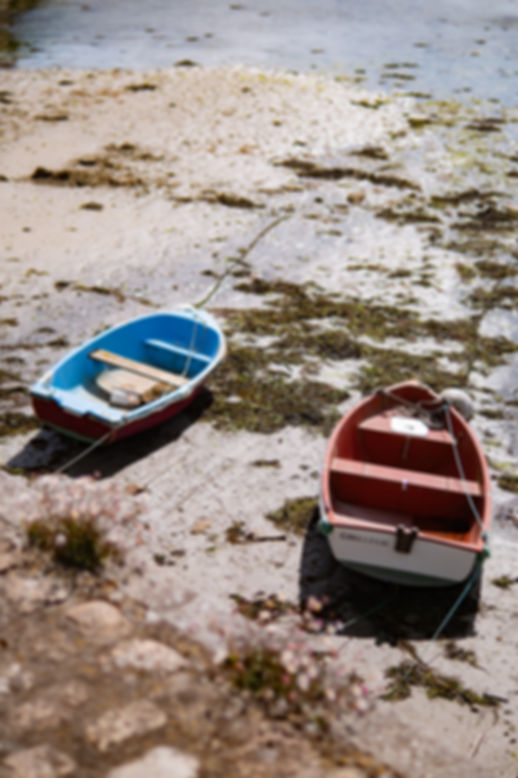 Barques