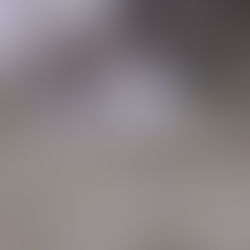 5 Unknown Facts about Cavalier Kings Charles Spaniel Puppies