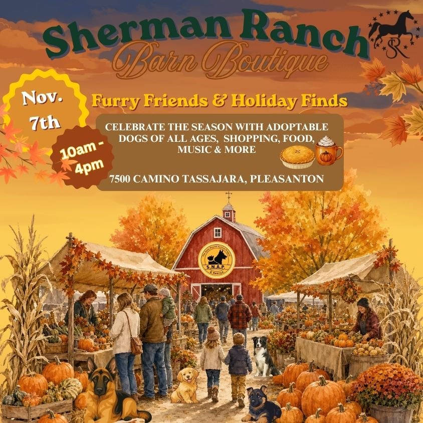 Adoption Event @ Sherman Ranch Barn Boutique