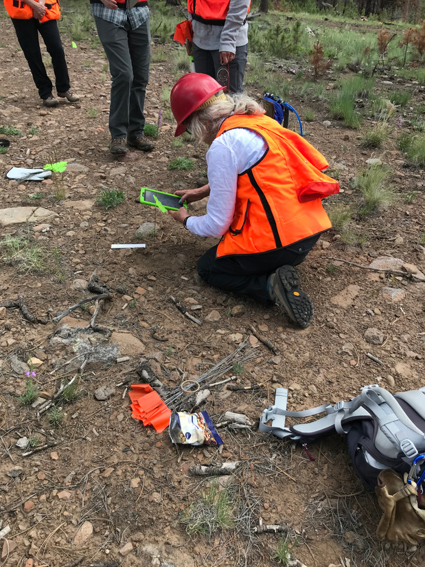 Site Stewards may participate in formal reconnaissance or surveys of prehistoric sites by request and under the guidance and supervision of land managers