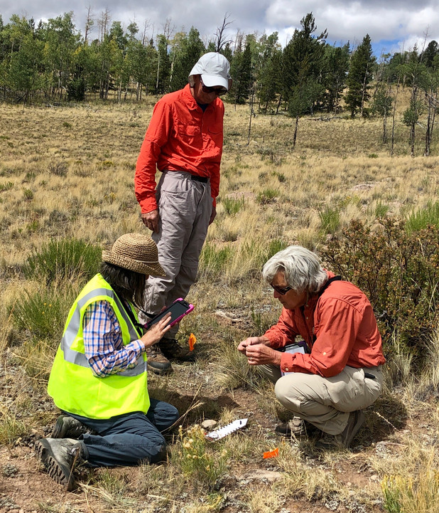 Site Stewards locate, photograph and record their findings of artifacts in South Park on tablets using state-of-the-art GPS and ArcGIS programs