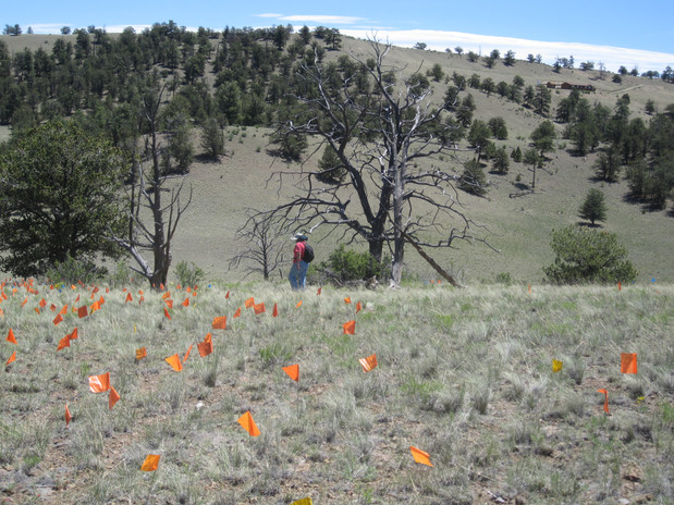 Flagging a site for recordation