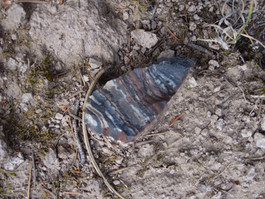 A variety of materials were sourced for prehistoric tool-making