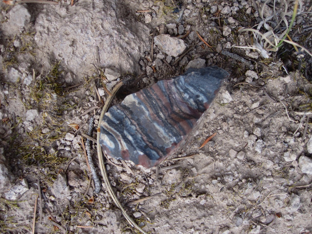 A variety of materials were sourced for prehistoric tool-making
