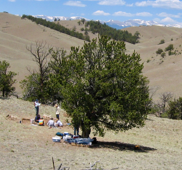 The Roots of the South Park Site Stewards develop a data base that recorded their findings of prehistoric artifacts and cultural sites. Dr. Susan Bender contributed and furthered the research conducted into the archaeology of South Park as Research Director for SPArP for 15 years.