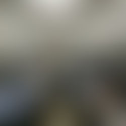 修論発表会と卒論発表会