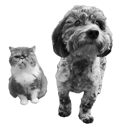 1b24adda-cdc7-4a28-88bf-998359673671_edi