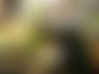 Co noveho na Ukrajině?