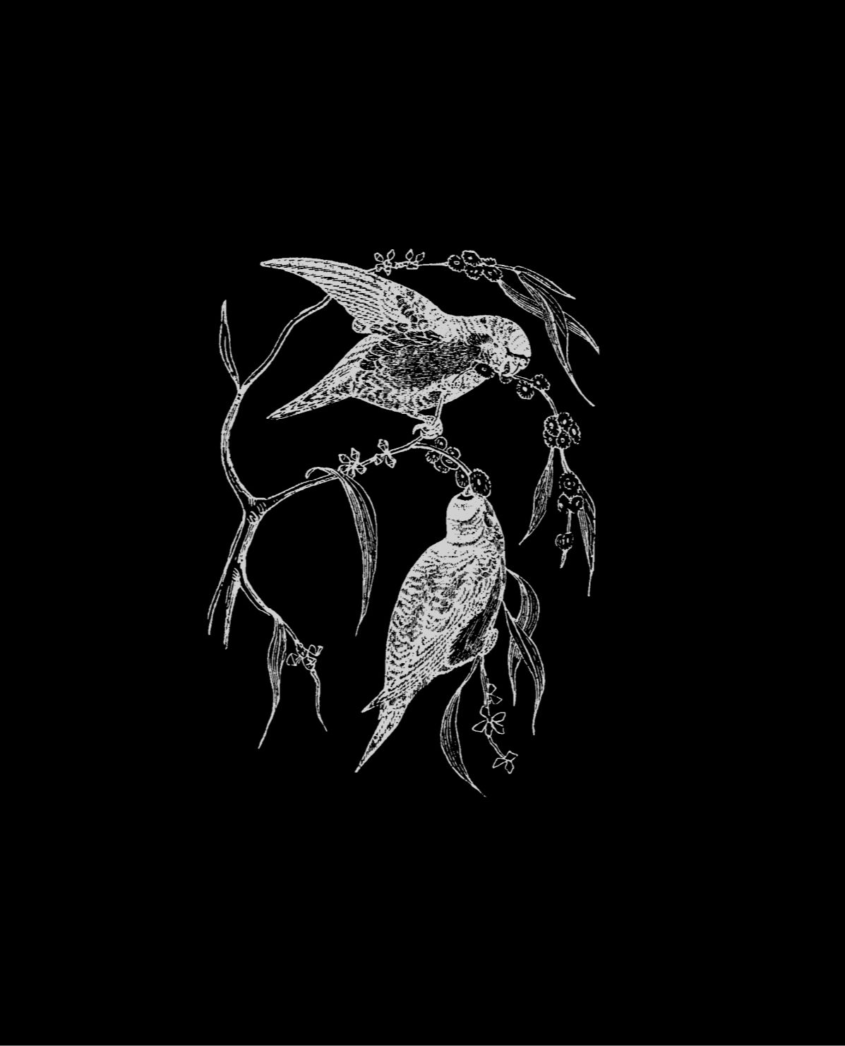 Bathed in Mourning's Light