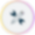 Custom AI Solutions.png
