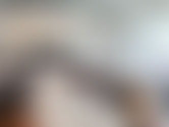 The Impact of Action and DEI Initiatives