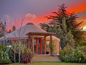 Cabin, Tiny Home, or Yurt? Choosing the Right Off-Grid Structure for Your Land